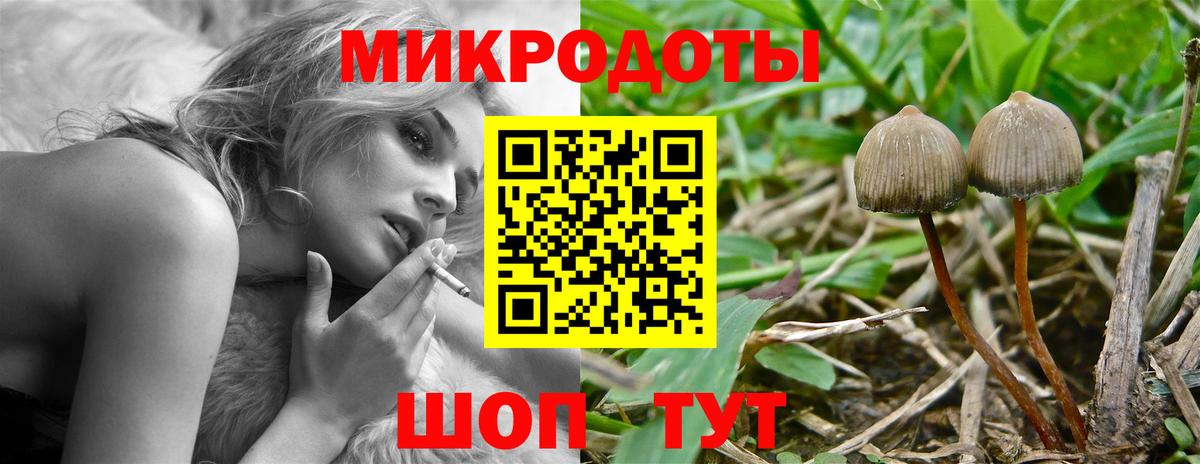 Городец  Псилоцибиновые грибы мухоморы  Вход с VPN 